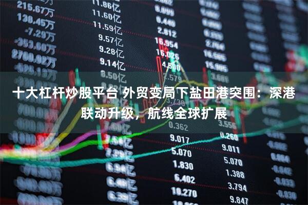 十大杠杆炒股平台 外贸变局下盐田港突围：深港联动升级，航线全球扩展