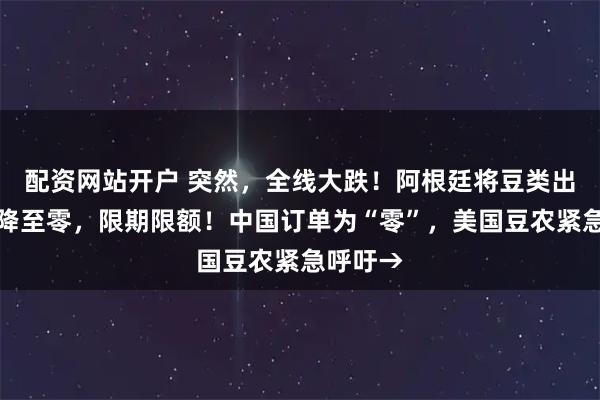 配资网站开户 突然，全线大跌！阿根廷将豆类出口关税降至零，限期限额！中国订单为“零”，美国豆农紧急呼吁→